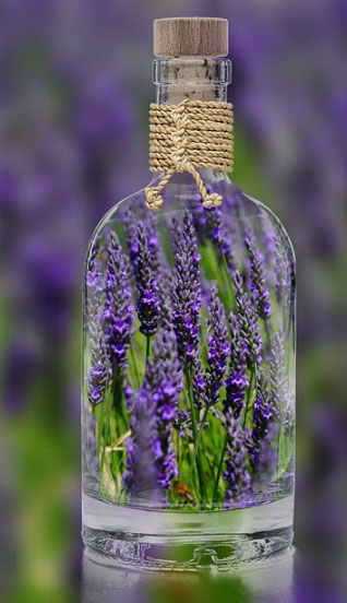 Lavendar in bottle